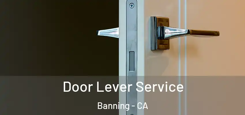  Door Lever Service Banning - CA