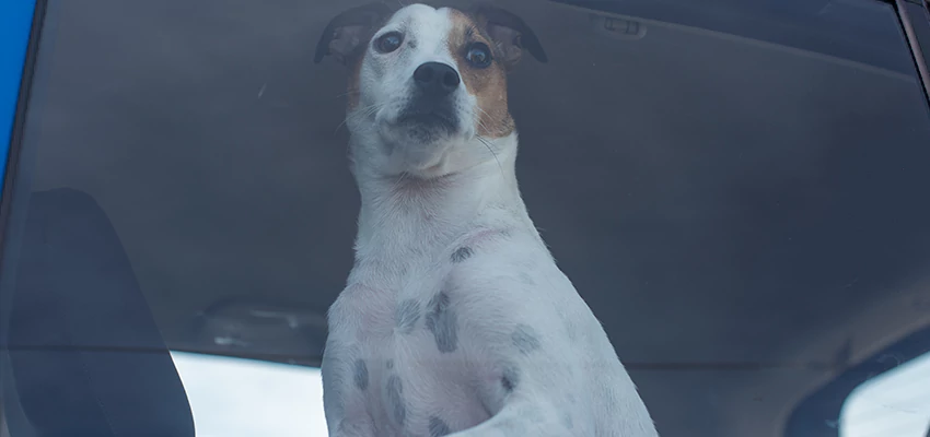 Car Lockout Solutions in Banning, California